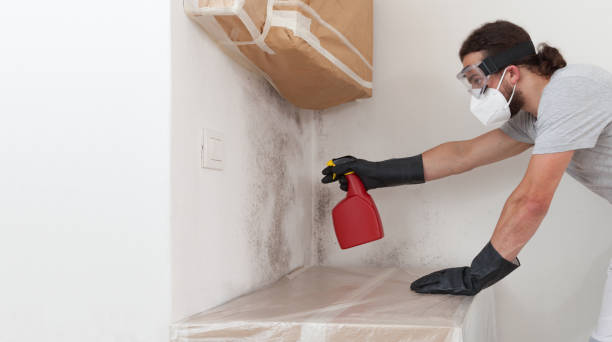 Professional Crawl Space Mold Remediation technician working in Belleville, MI