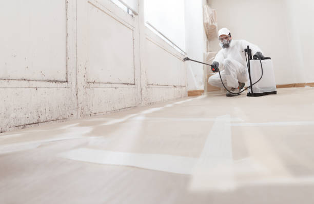 24/7 Emergency Crawl Space Mold Remediation experts in Belleville, MI