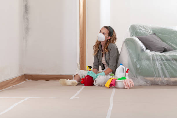 Reliable Crawl Space Mold Remediation contractor in Belleville, MI by Car Mold Remediation